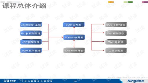 基于金蝶bosweb开发平台的技术 java文档类资源 csdn下载